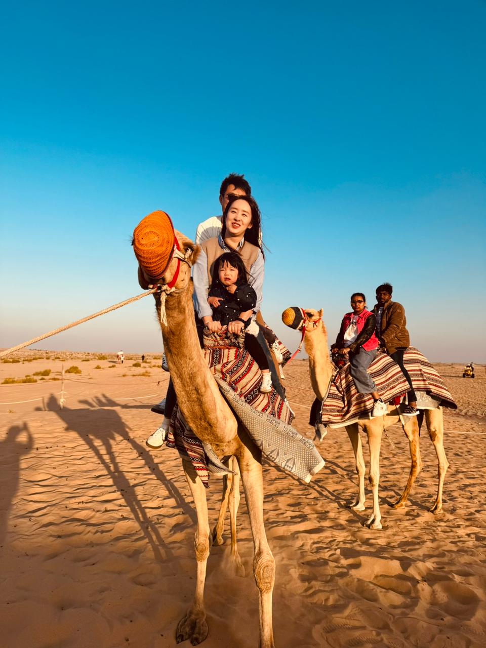 Camel Ride Dubai