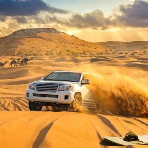 VIP Desert Safari in Dubai