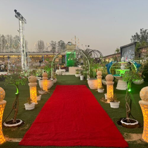VIP Desert safari